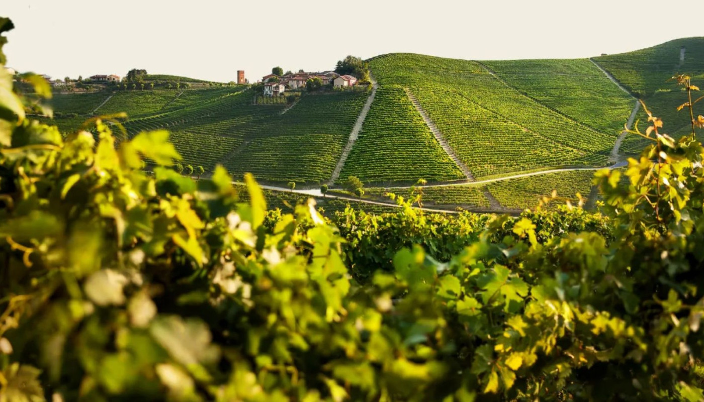 PRODUTTORI DEL BARBARESCO, Η ΣΥΝΕΤΑΙΡΙΣΤΙΚΗ ΕΛΙΤ! | Θέματα