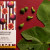 Mykonos Chocolate Co, σοκολάτα σχεδιασμένη για διεθνή καριέρα
